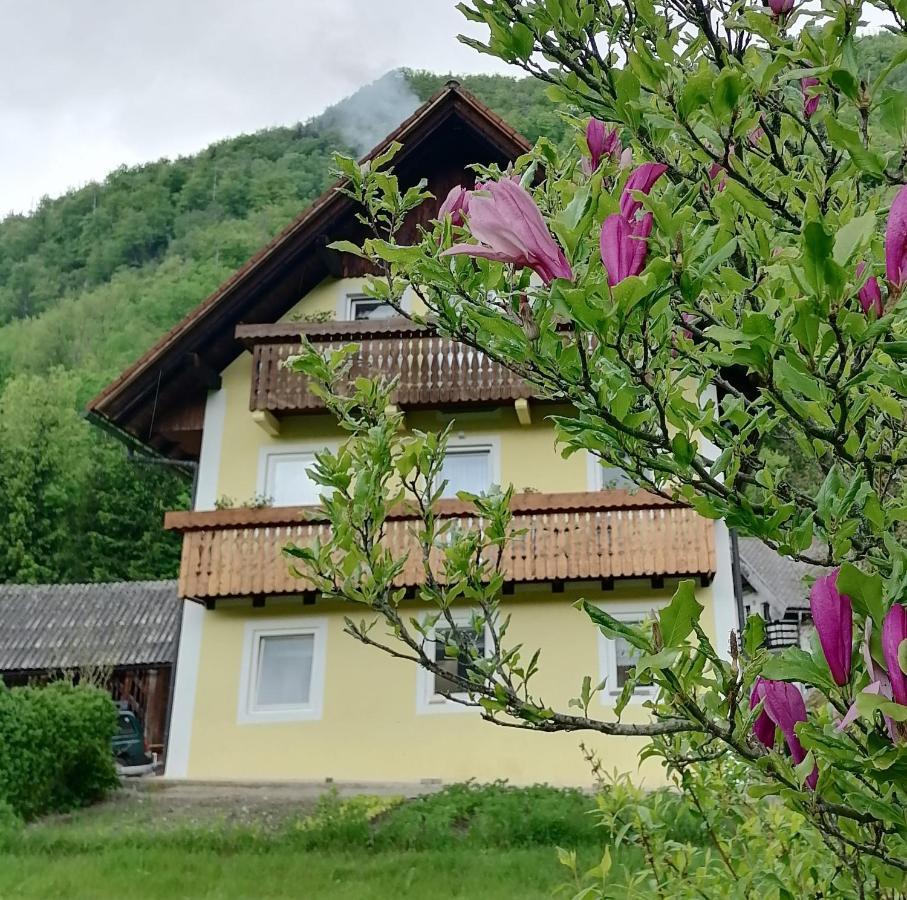 Apartment House Andrej Bohinj Exterior photo