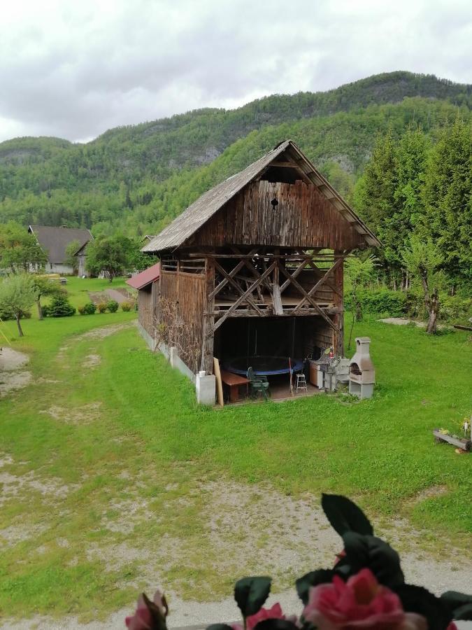 Apartment House Andrej Bohinj Exterior photo
