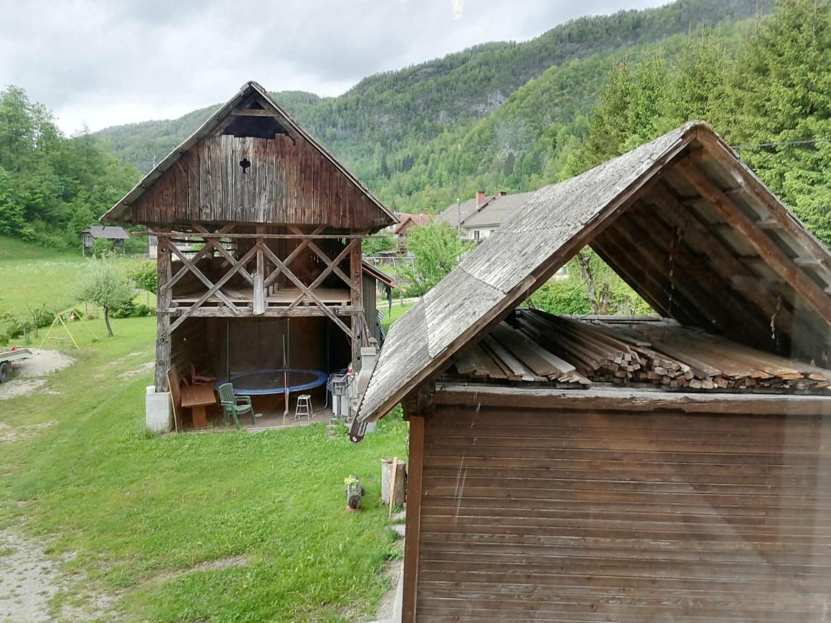 Apartment House Andrej Bohinj Exterior photo