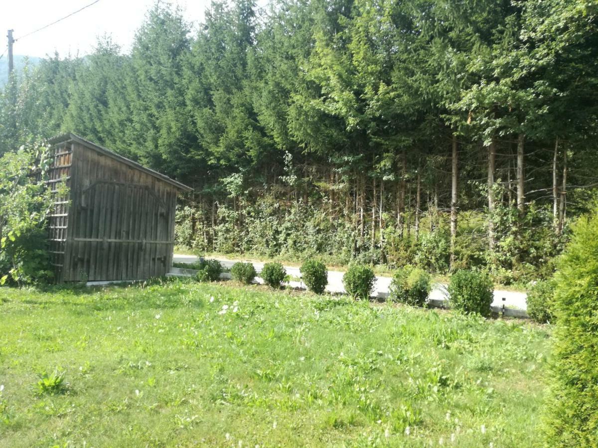 Apartment House Andrej Bohinj Exterior photo