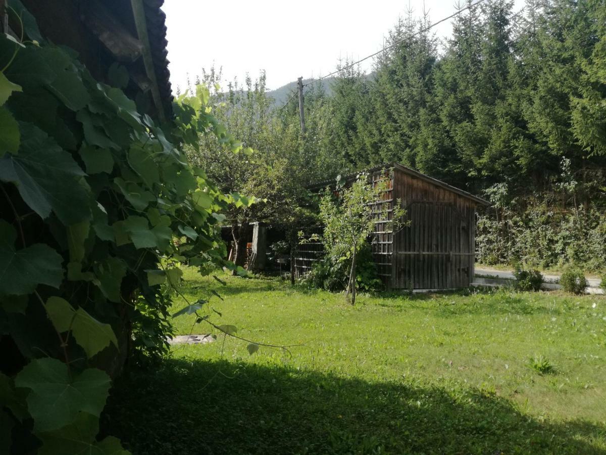 Apartment House Andrej Bohinj Exterior photo